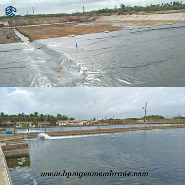HDPE geomembrane Aquaculture pond liners