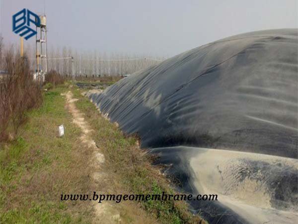 High Density Polyethylene Pond Liner for Biogas Pool Project in Thailand