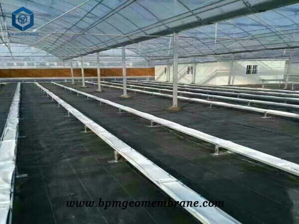 HDPE Pond Liner for Fish Pond Project in Guiyang