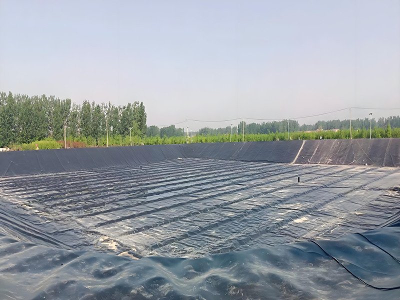 Geomembrane Pond Liner for Dairy Farm Sedimentation Containment in Pakistan