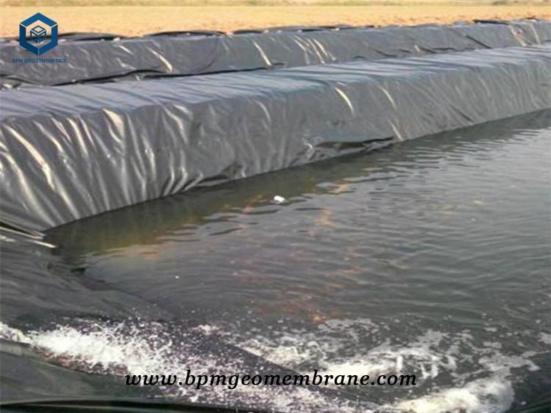 0.5mm Liquid Pond Liner for Shrimp Farm in Thailand