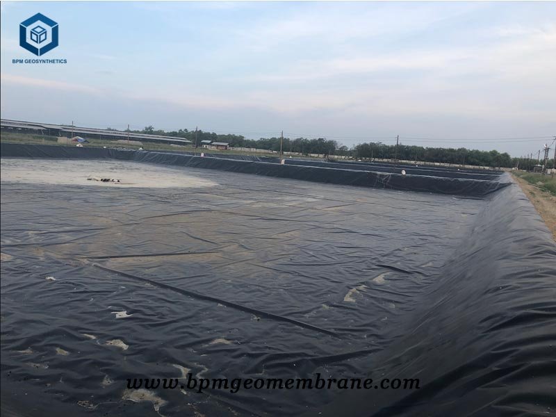 Liquid Pond Liner for Shrimp Farm in Thailand