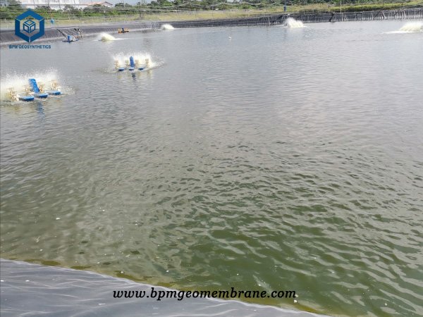 HDPE Geomembrane Philippines for Shrimp Ponds