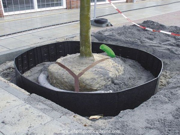 Bamboo Root Barrier for Root Guard in Qatar