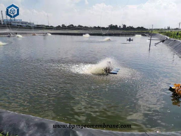 Fish Safe Pond Liner for Aquaculture Farm Construction in Indonesia