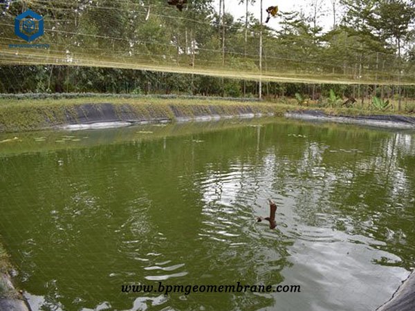 HDPE Pond Liner Plastic Sheeting for Fish Pond Project in Kenya