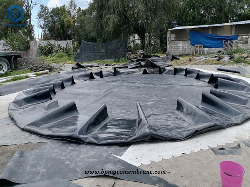 Plastic Tank Liner for Fish Breeding Project in Philippines