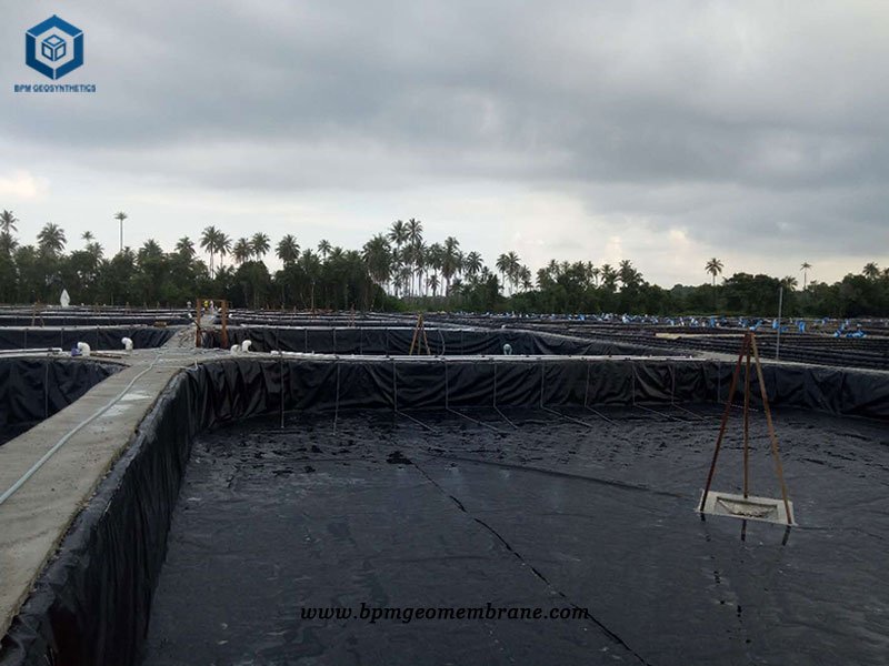 HDPE Water Feature Liner for Fishing Pond Project in Malaysia