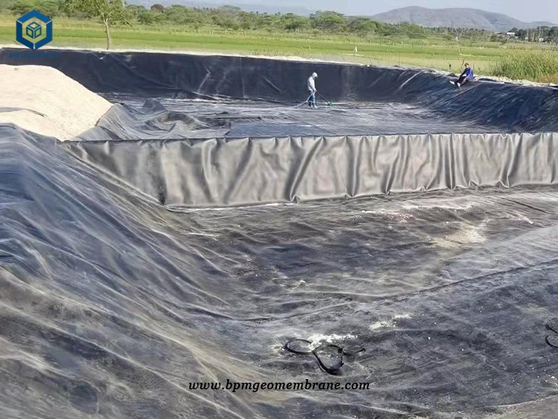 1mm HDPE Sheet for Shrimp Pond Project in Ecuador