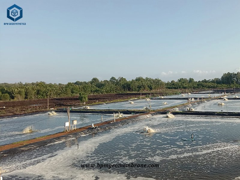 Geomembrana LDPE Liner for Aquaculture Farm Projects in Malaysia