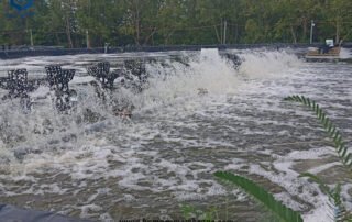 Large Fish Pond Liners for Shrimp Farming in Bangladesh