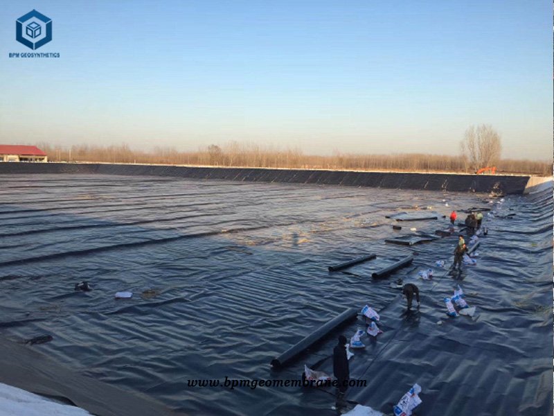 HDPE Pond Sheet for Coal Chemical Industry in Indonesia