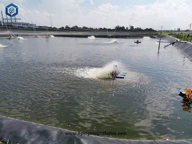Fish Farm Pond Liner Material for Aquaculture Fish Pond Projects in Philippines