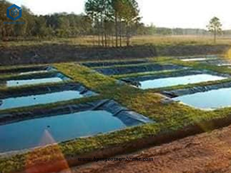 HDPE Pond Lining for Aquaculture Project in Malaysia