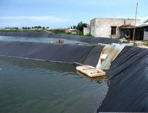 How To Choose Right HDPE Pond Liner For Fish Farm?