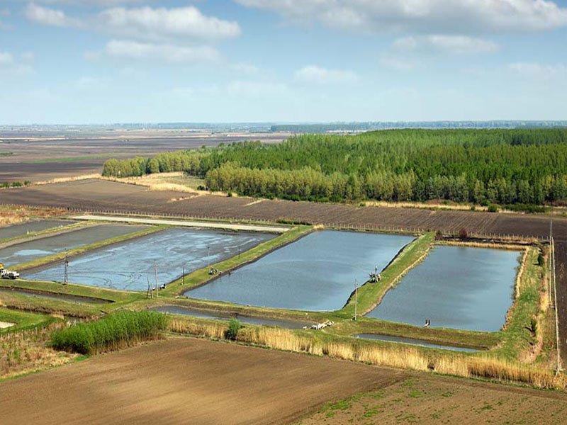 HDPE Pond Liner Geomembrane for Aquaculture