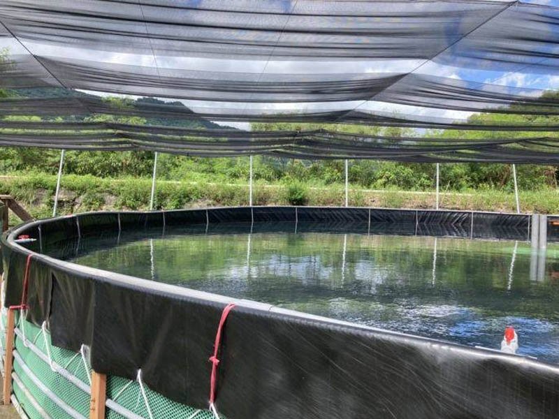 UV Resistant HDPE Pond Liner for Aquaculture