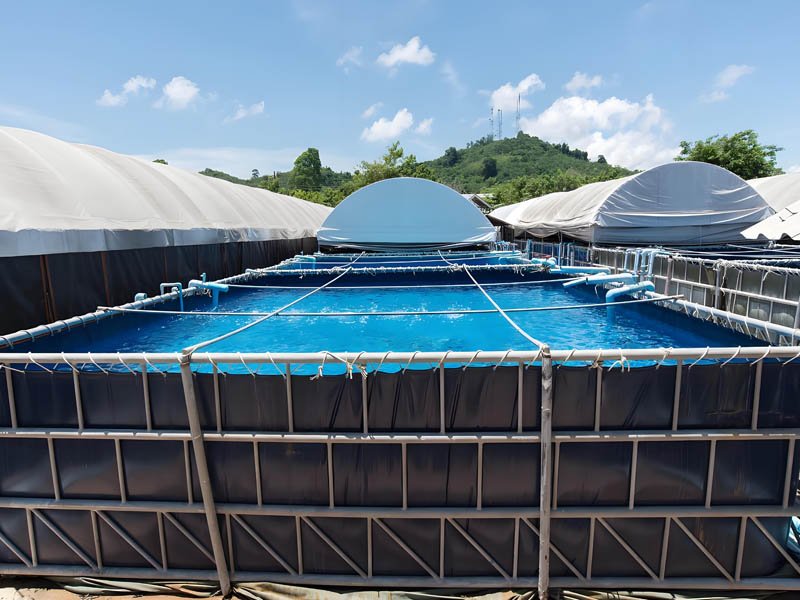 HDPE Fish Pond Liner Geomembrane Geomembrana