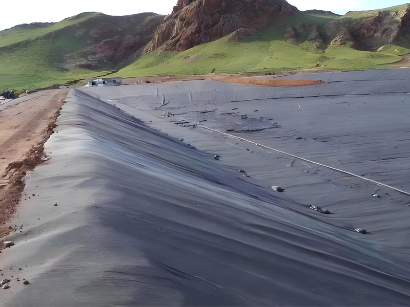 Dam Liner HDPE Quality Pond Geomembrane for Agriculture Reservoir